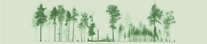 Edited Selection Forestry Diagram drawn by Jan Sevenster of Pro Silva Holland